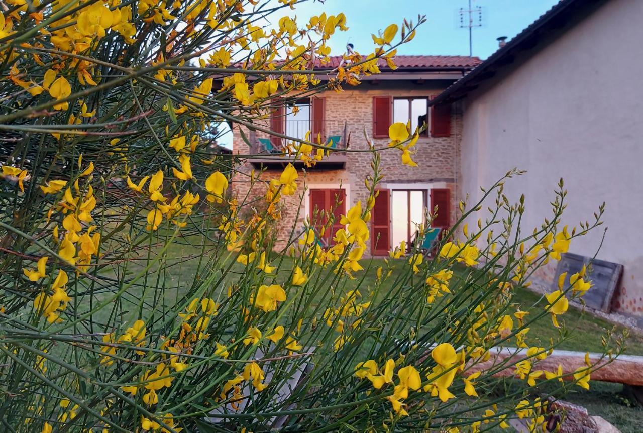 Apartamento Cascina Nomade - Wine & Scenic Retreat Dogliani Exterior foto