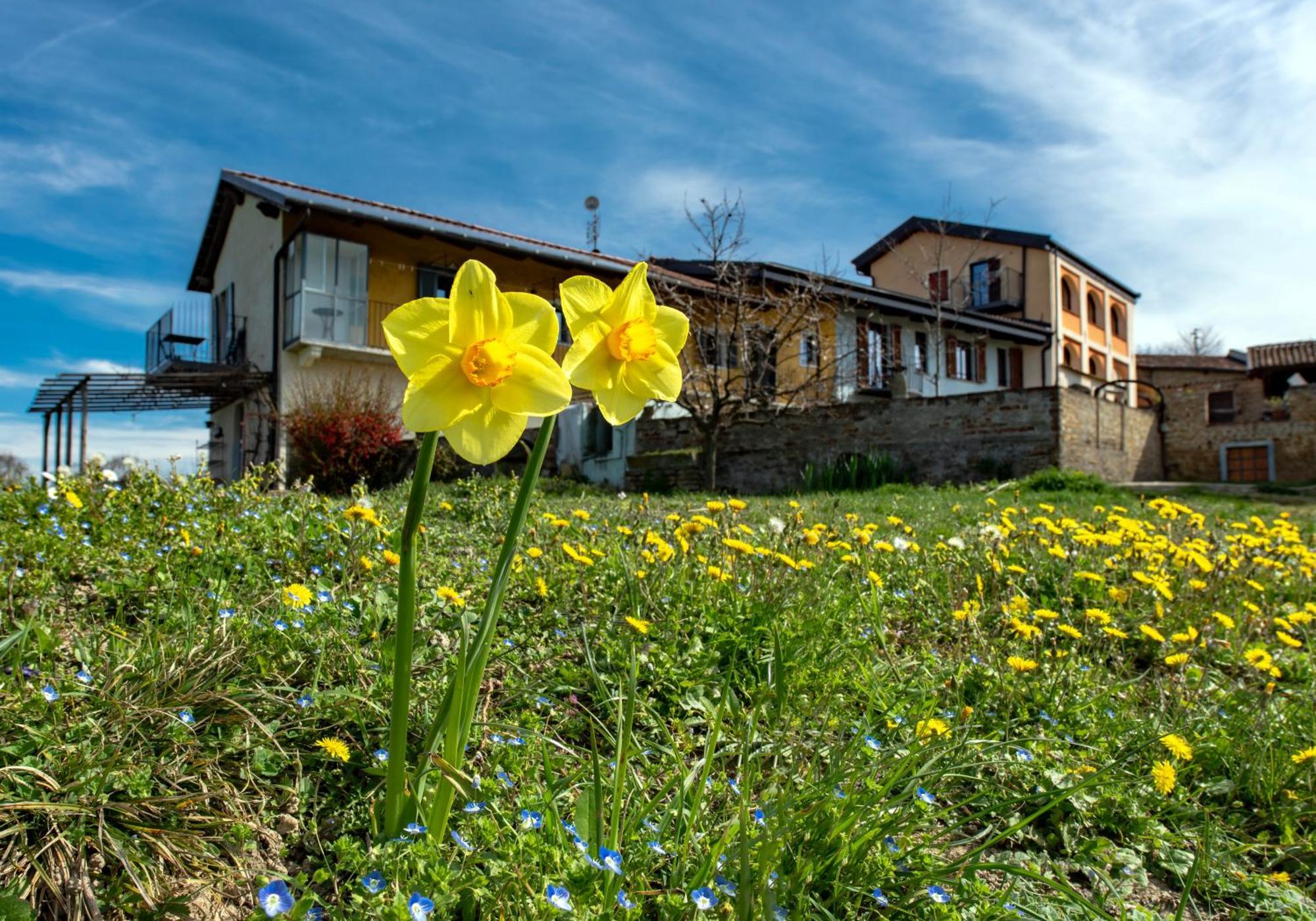 Apartamento Cascina Nomade - Wine & Scenic Retreat Dogliani Exterior foto