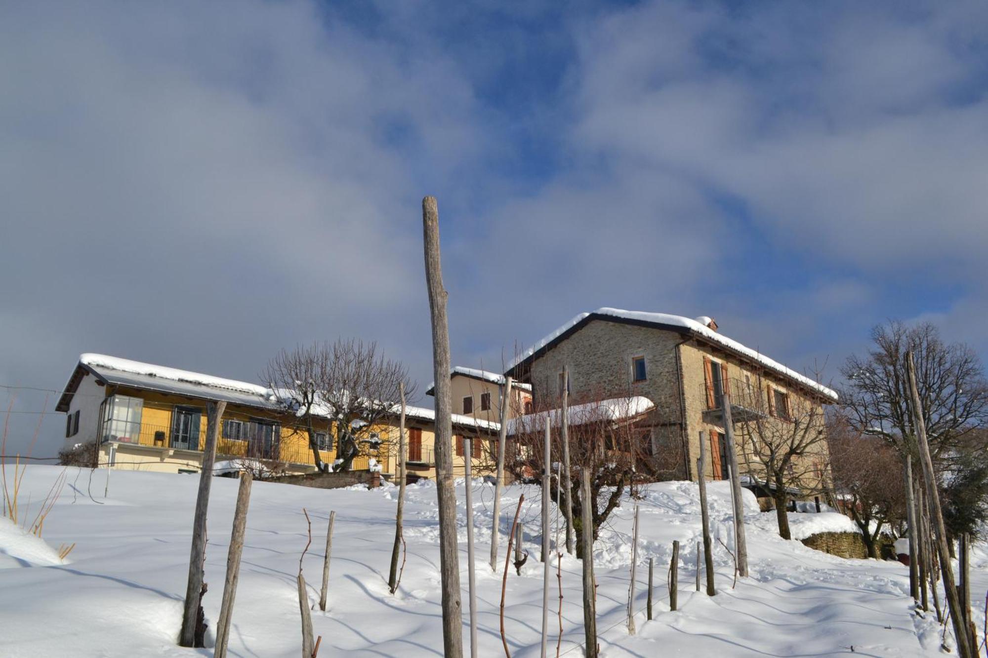 Apartamento Cascina Nomade - Wine & Scenic Retreat Dogliani Exterior foto